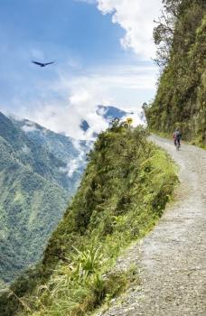 <!DOCTYPE html>
<html>
<head>
</head>
<body>
<p><span data-path-to-node="0,1"><span class="citation-180">Coroico se presenta como un refugio paradis&iacute;aco en los Yungas, caracterizado por un clima c&aacute;lido y paisajes exuberantes donde la naturaleza y la cultura se entrelazan armoniosamente</span></span><span data-path-to-node="0,3">. </span><span data-path-to-node="0,5"><span class="citation-179">Este destino destaca por su impresionante biodiversidad, albergando cultivos tradicionales de caf&eacute;, chocolate, coca y c&iacute;tricos que llenan el ambiente de aromas &uacute;nicos</span></span><span data-path-to-node="0,7">. </span><span data-path-to-node="0,9"><span class="citation-178">La regi&oacute;n invita a la desconexi&oacute;n total mediante sus relajantes instalaciones con piscina y senderos naturales que permiten apreciar la belleza de su entorno tropical</span></span><span data-path-to-node="0,11">. </span><span data-path-to-node="0,13"><span class="citation-177">Adem&aacute;s de su riqueza natural, el &aacute;rea posee una profunda identidad hist&oacute;rica reflejada en sus centros culturales y museos, convirti&eacute;ndola en el escenario ideal para quienes buscan una experiencia aut&eacute;ntica y revitalizante</span></span><span data-path-to-node="0,15">.</span></p>
</body>
</html>