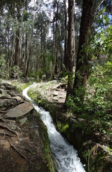 <!DOCTYPE html>
<html>
<head>
</head>
<body>
<p>Su privilegiada ubicaci&oacute;n a los pies de la cordillera del Tunari permite a este amplio valle contar con una abundante provisi&oacute;n de aguas claras que marcan la diferencia en sus productos agr&iacute;colas. Hermosos mantos verdes se extienen en las planicies de los campos agr&iacute;colas.</p>
<p>Este atractivo est&aacute; rodeado de hermosos bosques aptos para el camping y trekking. La cordillera del Tunari es para muchos la mayor atracci&oacute;n del a&ntilde;o cuando &eacute;sta cubre sus picos de un extenso manto blanco de nieve.&nbsp;</p>
<p>&nbsp;</p>
</body>
</html>